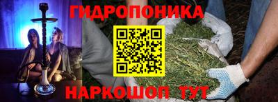 гашик Мариинск