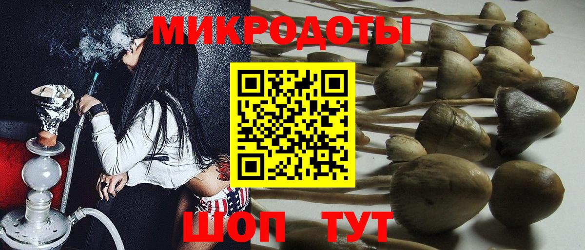 Галлюциногенные грибы GOLDEN TEACHER  Галлюциногенные грибы GOLDEN TEACHER  Вход с VPN  Холмск 