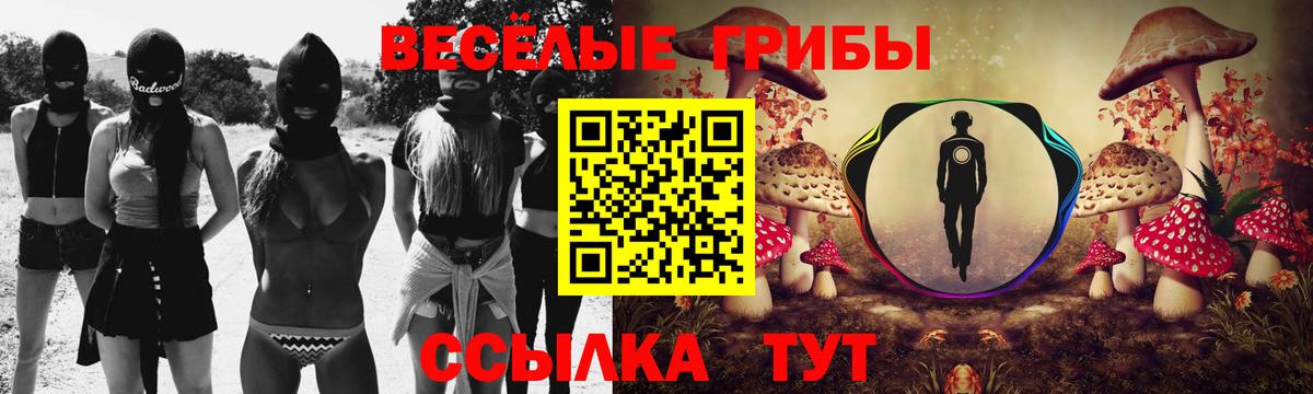 Псилоцибиновые грибы MAGIC MUSHROOMS Холмск